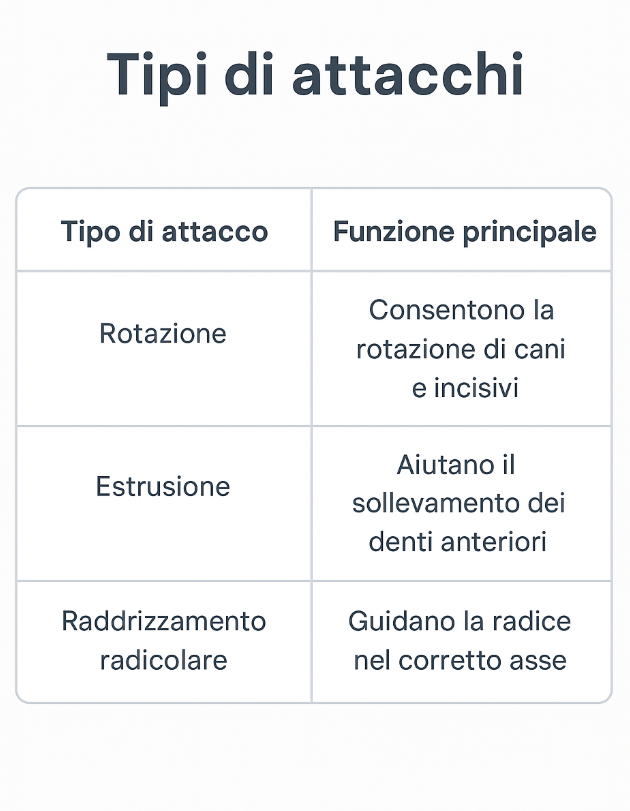 Tabella infografica sulle funzioni degli attachment ortodontici 