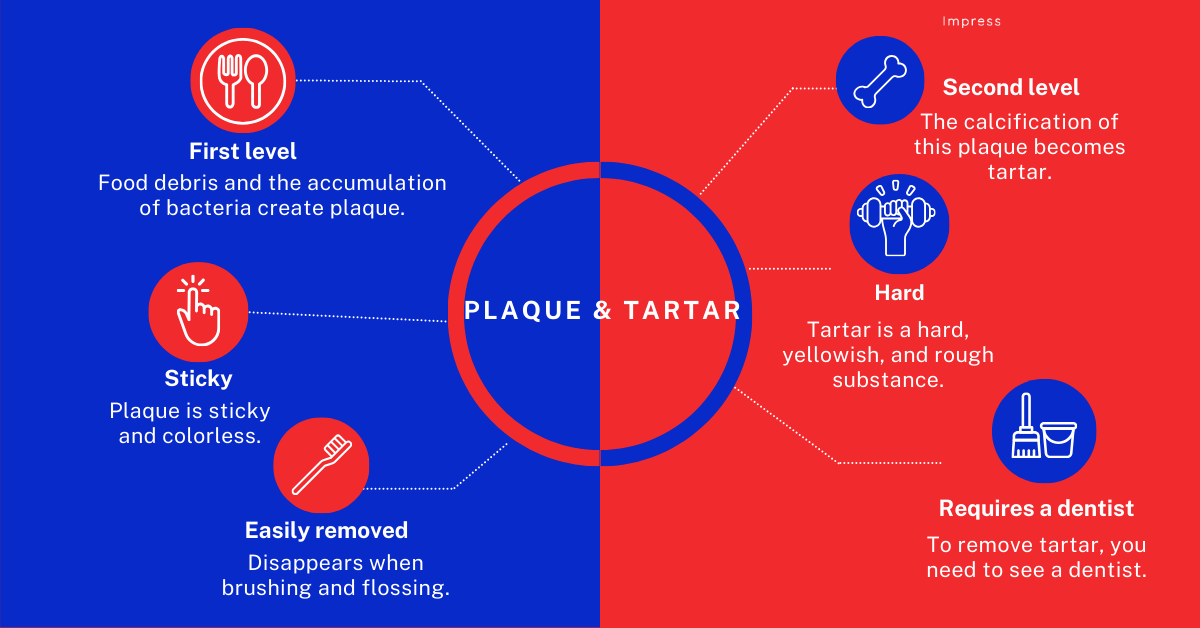 Infographic about the differences between plaque + tartar