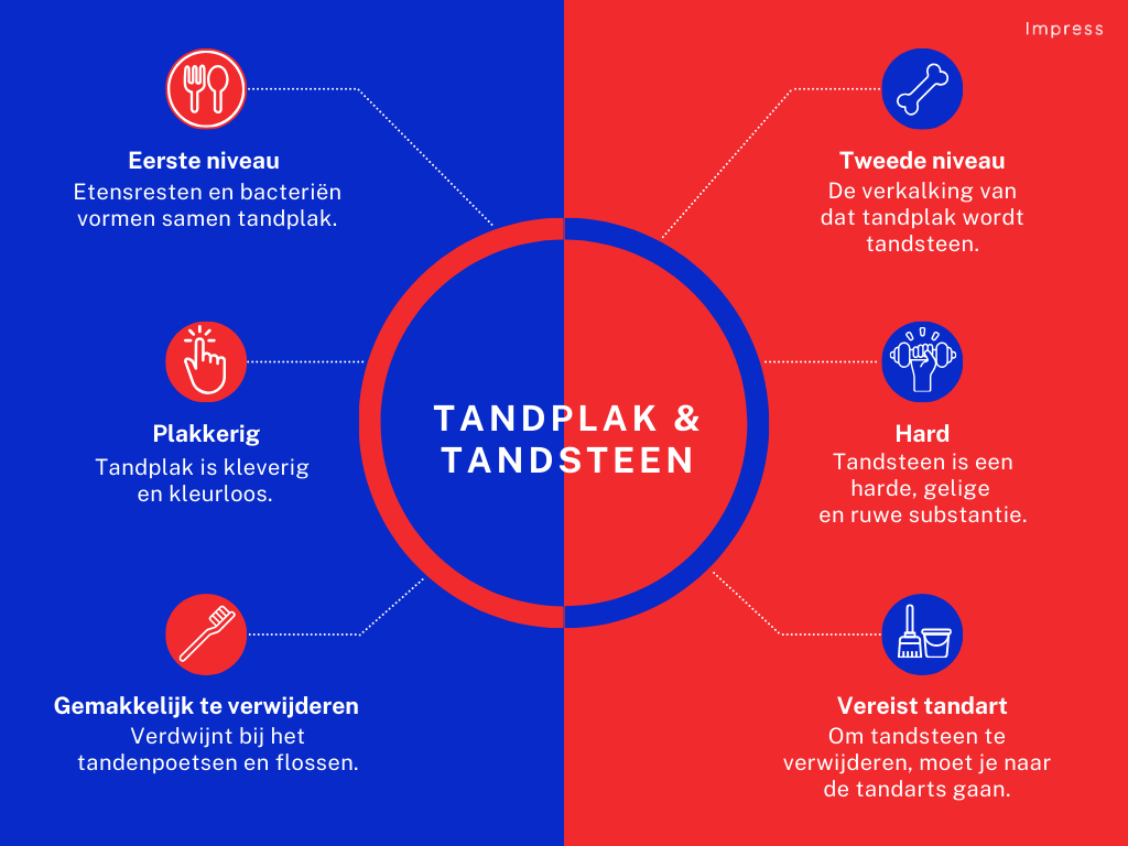 Overzicht van de verschillen tussen tandplak en tandsteen