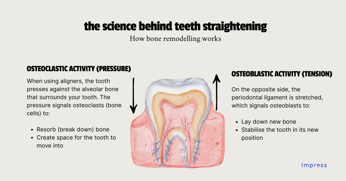 Osteoclastic and osteoblastic activity 